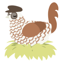 A white and brown chicken with a lace pattern