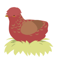 pecan, a red and brown chicken with a half-lace pattern