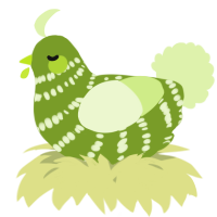 A chartreuse and apple chicken with a bar pattern