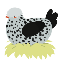 Cute, a silver and black chicken with a speckle pattern