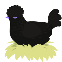 Emo, a black and sable chicken with a half-lace pattern