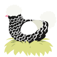 A sable and white chicken with a lace pattern