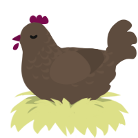 surprise turd, a bark chicken with a half-lace pattern