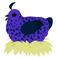 A indigo and tumblr chicken with a speckle pattern