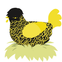 CAUTION, a sable and yellow chicken with a double-lace pattern