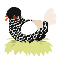 A black and cream chicken with a lace pattern