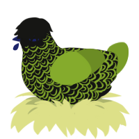 Onyx, a black and chartreuse chicken with a double-lace pattern