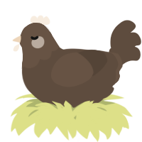 A bark chicken with a head pattern