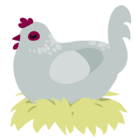 A silver chicken with a neck-speckle pattern