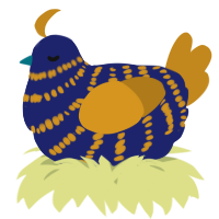 A navy and ochre chicken with a bar pattern