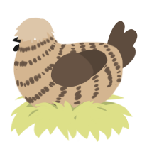 A beige and bark chicken with a bar pattern