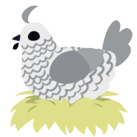 For No One, a black and grey chicken with a lace pattern