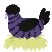 A overcast and black chicken with a bar pattern