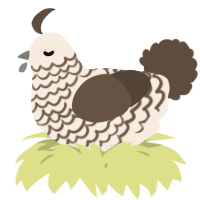A cream and bark chicken with a lace pattern