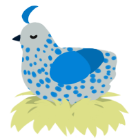 A silver and sapphire chicken with a speckle pattern
