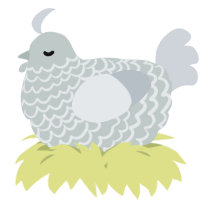 A silver and mist chicken with a lace pattern