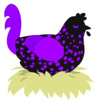A black and violet chicken with a speckle pattern