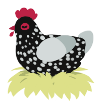 A black and silver chicken with a speckle pattern