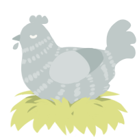 A silver chicken with a bar pattern
