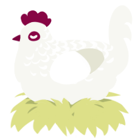 A white chicken with a half-lace pattern