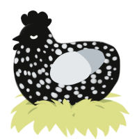 A black and mist chicken with a speckle pattern