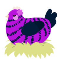 Orchid, a amethyst and tumblr chicken with a bar pattern