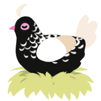 A black and cream chicken with a half-lace pattern
