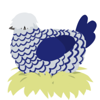 A mist and navy chicken with a lace pattern