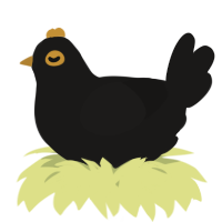 A sable chicken