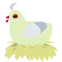 lime, a apple and mist chicken with a lace pattern