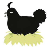 A black chicken with a bar pattern