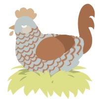 A silver and brown chicken with a lace pattern