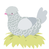 A silver and mist chicken with a lace pattern