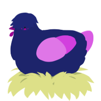 A navy and orchid chicken