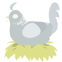 A silver and mist chicken with a neck-speckle pattern