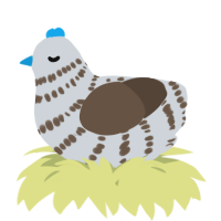 A mist and bark chicken with a bar pattern