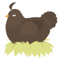 A bark chicken with a head pattern