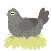 a suspicious pebble, a ash and grey chicken with a speckle pattern