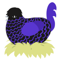 A sable and indigo chicken with a lace pattern