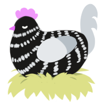 Chlorine 4 the pool, a sable and mist chicken with a bar pattern