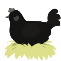 Roland, a black and sable chicken