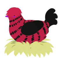 A crimson and black chicken with a bar pattern