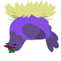 Goob, a blurple and overcast chicken with a head pattern
