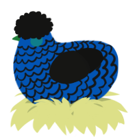 A ultramarine and black chicken with a lace pattern