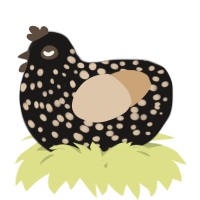 A sable and beige chicken with a speckle pattern