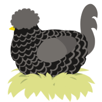 A sable and grey chicken with a lace pattern