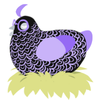 A black and lilac chicken with a double-lace pattern