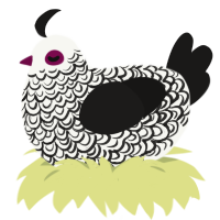 The Apotheosis, a white and sable chicken with a double-lace pattern