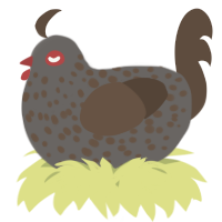 A grey and bark chicken with a speckle pattern