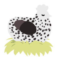 A black and silver chicken with a speckle pattern
